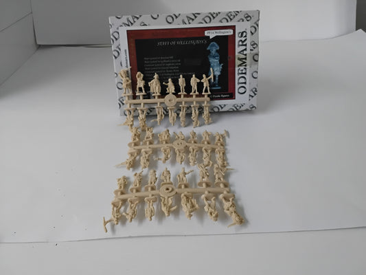 ODEMARS PF14 WELLINGHTON'S STAFF 1/72